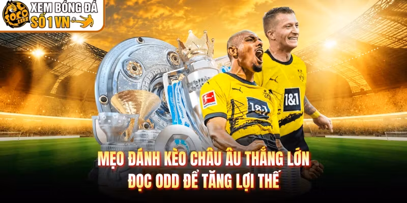 Mẹo Đánh Kèo Châu Âu Thắng Lớn – Đọc Odd Để Tăng Lợi Thế